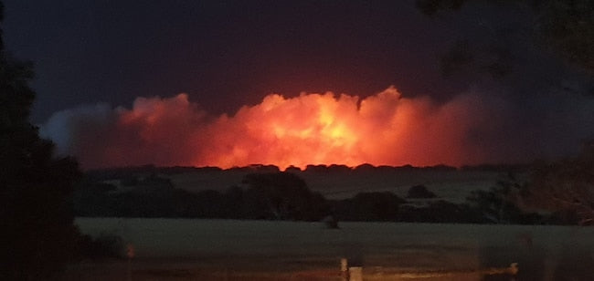 Want to help with bushfire relief?