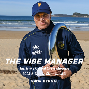 The Vibe Manager